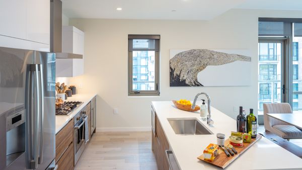 St Paul Collection by null