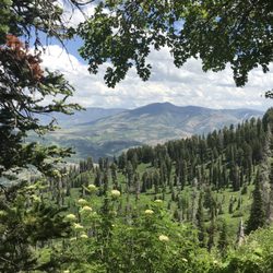 Free Spirit Holistic Mountain Spa - Summer in Eden, Utah
