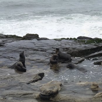 La Jolla Cove - Parks Near Me - La Jolla, California La Jolla Cove - Parks Near Me - La Jolla, California