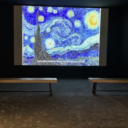 Van Gogh: The Immersive Experience - Short film about Van Gogh's most famous art pieces.