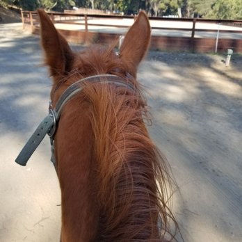 Chaparral Ranch - Horseback Riding Near Me - Woodside, California Chaparral Ranch - Horseback Riding Near Me - Woodside, California