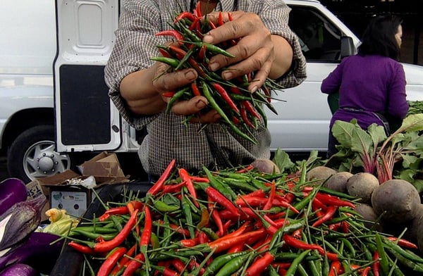 Santa Rosa Wednesday Night Market, May through July by null