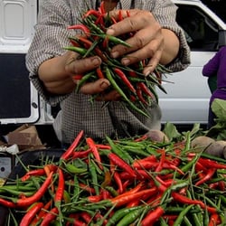 Wednesday Night Market