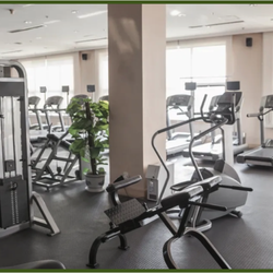 Gym Equipment Services - Gym Equipment Services