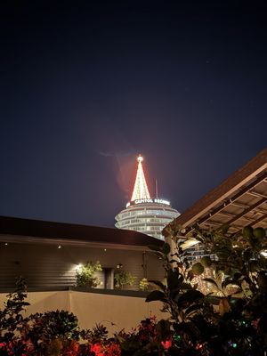 Lemon Grove by null Lemon Grove by null