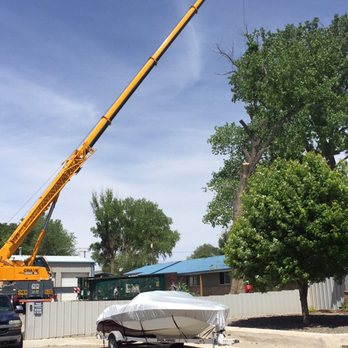 American Tree Services - Tree Services Near Me
