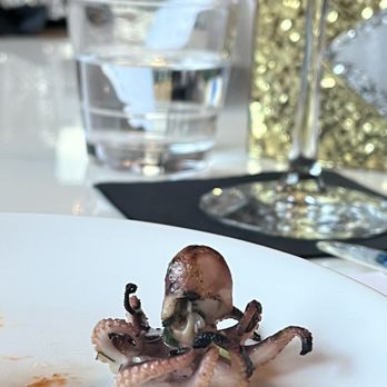 Aura Modern Mediterranean - Baby Grilled Octopus - Mediterranean Near Me - Camp Hill, Pennsylvania Aura Modern Mediterranean - Baby Grilled Octopus - Mediterranean Near Me - Camp Hill, Pennsylvania
