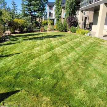 iBIN Lawn Care - a view of a lawn in the backyard - Lawn Services Near Me - Edmonton, Alberta iBIN Lawn Care - a view of a lawn in the backyard - Lawn Services Near Me - Edmonton, Alberta
