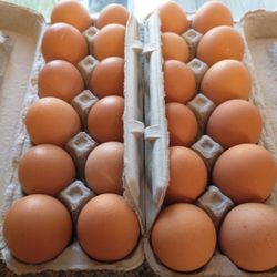 Stamp Egg Farms - 2 dozen "extra jumbo" eggs