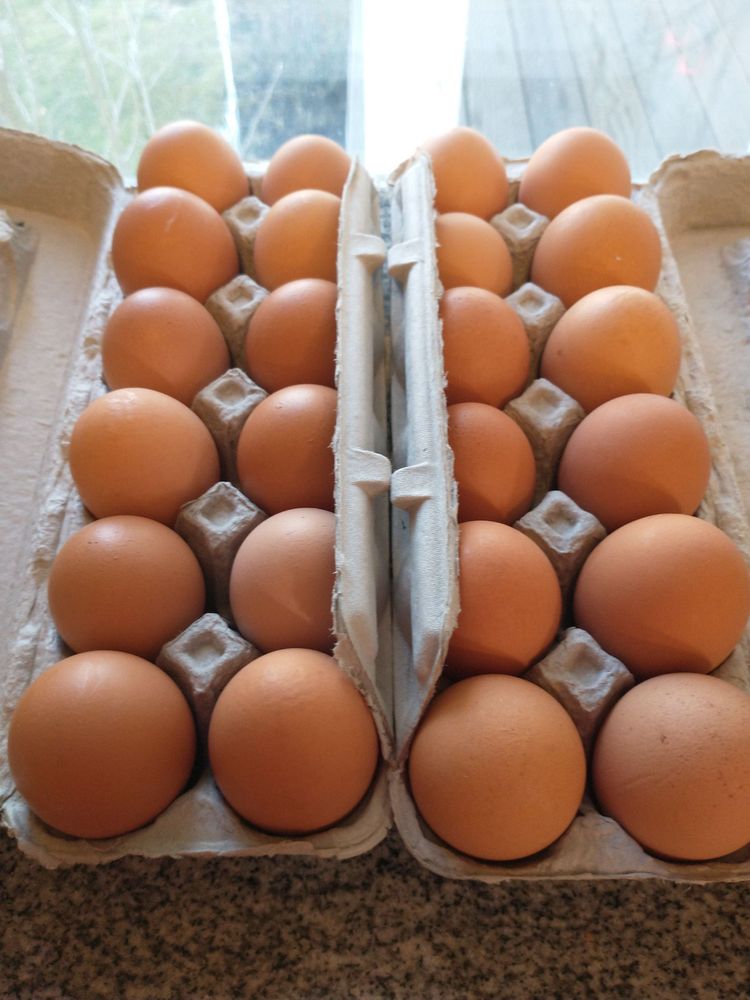 STAMP EGG FARMS Updated October 2024 17 Photos & 10 Reviews 816