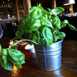 Hangon Makaronitehdas - Fresh basil on the table!