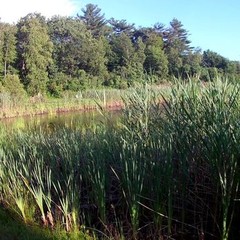 Hidden Pond - Parks Near Me - Hingham, Massachusetts Hidden Pond - Parks Near Me - Hingham, Massachusetts