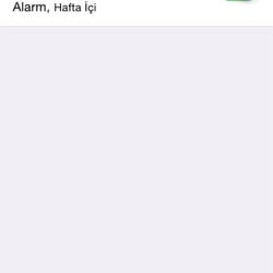 Milas Bodrum Havaalanı - Dönüş hazırlığı burdan başladıysa..