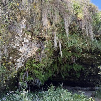 Wilder Ranch State Park - Parks Near Me - Santa Cruz, California Wilder Ranch State Park - Parks Near Me - Santa Cruz, California