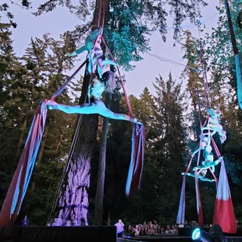 A-WOL Dance Collective - 7/24/2025 - Art in the Dark: 10 Laws by AWOL in Mary S Young Park in West Linn. - Dance Studios Near Me - Portland, Oregon
