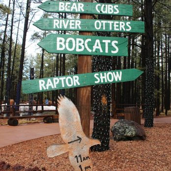 Bearizona - Dont miss the raptor show! 11am, 1pm and 3pm daily. - Zoos Near Me - Williams, Arizona Bearizona - Dont miss the raptor show! 11am, 1pm and 3pm daily. - Zoos Near Me - Williams, Arizona