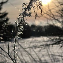 Biosphärenreservat Rhön, Verwaltungsstelle