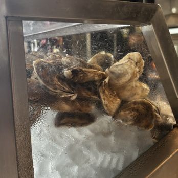 Culamar - Oyster Bar - Italian Near Me - Franklin, Tennessee Culamar - Oyster Bar - Italian Near Me - Franklin, Tennessee