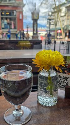 Water St. Café by null