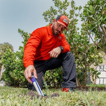 All U Need Pest Control - Pest Control Near Me - Fort Myers, Florida All U Need Pest Control - Pest Control Near Me - Fort Myers, Florida