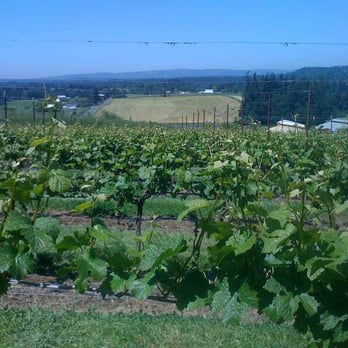 King's Raven Winery - Wineries Near Me - Oregon City, Oregon King's Raven Winery - Wineries Near Me - Oregon City, Oregon