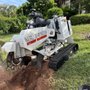Mr Bones Stump Grinding