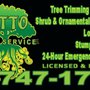 Otto Tree Service