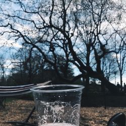 Parks On Tap-Azalea Gardens - Hammock life! They're so comfortable