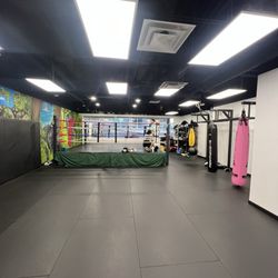 Team Smandych Muay Thai & Kickboxing - Boxing Ring