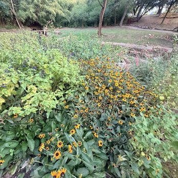 Kidd Springs Park - Parks Near Me - Dallas, Texas Kidd Springs Park - Parks Near Me - Dallas, Texas