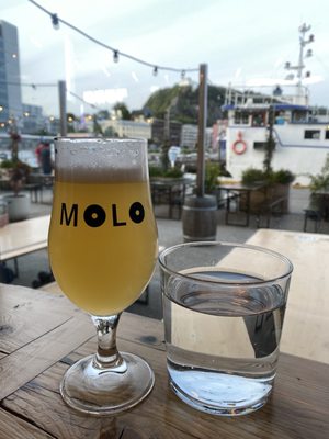 Molo Brew by null