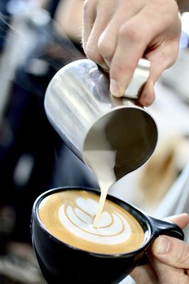Press Coffee - McCormick by null