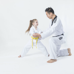 Master Choi's World Class Taekwondo - Kids Program