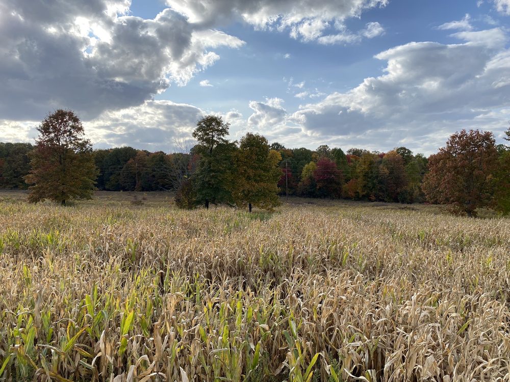 Social spots from Fair Haven Farms