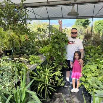 Present Perfect - Nurseries & Gardening Near Me - Pasadena, California Present Perfect - Nurseries & Gardening Near Me - Pasadena, California