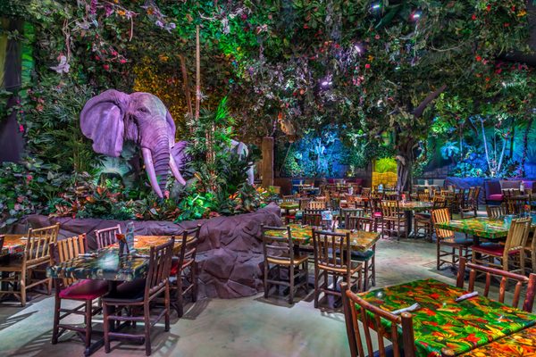 Rainforest Cafe by null