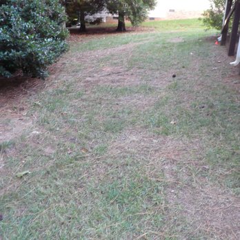 Apex Lawn Company - Landscaping Near Me - Apex, North Carolina