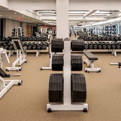 Life Time - Weights Floor