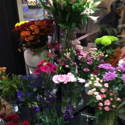 Petals Of Piccadilly