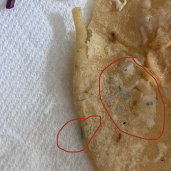 Pacific Seafood - Mold on tortilla - Food Trucks Near Me - San Diego, California Pacific Seafood - Mold on tortilla - Food Trucks Near Me - San Diego, California
