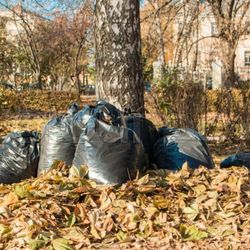 A Plus Lawn Care - Leaf Removal Quotes Available