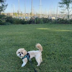 Buckley Cove Boat Launch