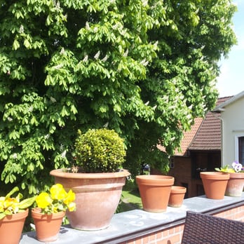 La Scala - Restaurants Near Me - Eutin, SH