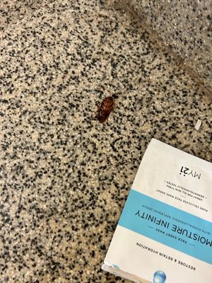 Valley Forge Military Academy and College by null