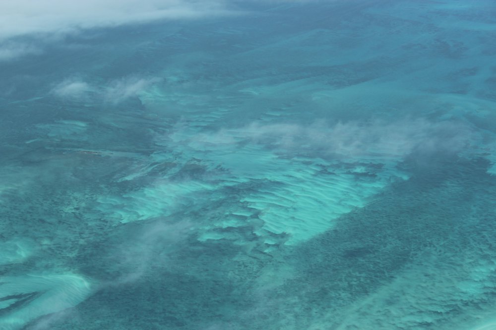 Slide of Aqua Dry Restoration