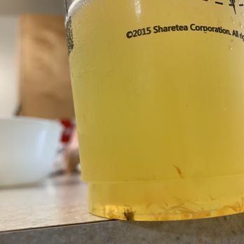 Sharetea - Bubble Tea Near Me - Davis, California
