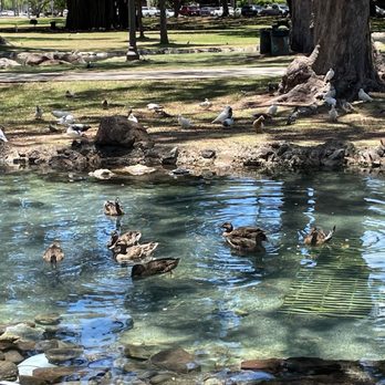Queen Kapi'olani Statue - Ducks - Public Art Near Me - Honolulu, Hawaii