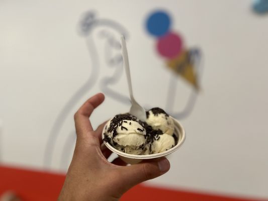 Bartleby’s Homemade Ice Cream by null
