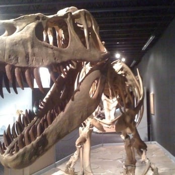 Mesalands Dinosaur Museum - rawr! - Museums Near Me - Tucumcari, New Mexico Mesalands Dinosaur Museum - rawr! - Museums Near Me - Tucumcari, New Mexico