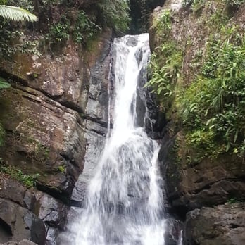 El Yunque Rainforest - Hiking Near Me - Luquillo, Puerto Rico El Yunque Rainforest - Hiking Near Me - Luquillo, Puerto Rico